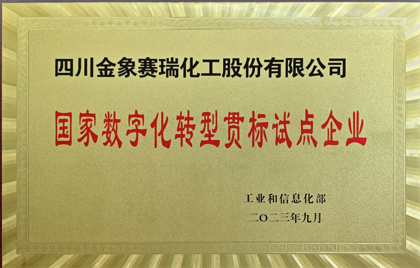 国家数字化转型贯标试点企业 国家数字化转型贯标试点企业