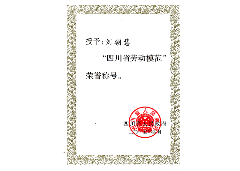 四川省劳动模范—刘朝慧 四川省劳动模范—刘朝慧